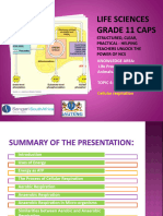 PP19 Cellular Respiration