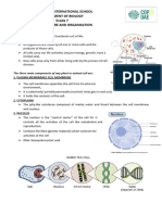 Cell Organelles File Notes