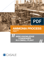 Ammonia Process A60