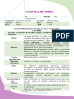 Reporte Ecografico Merlin