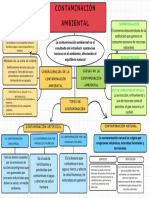 Contaminacion Ambiental