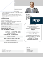 CV Professionnel de Sahindou Toure