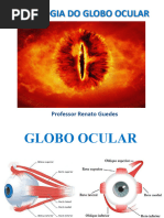 Histologia Do Globo Ocular: Professor Renato Guedes