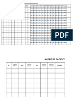 Formato de La Matriz de Seguimiento de Pacientes 2024