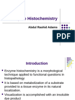 Enzyme His To Chemistry New