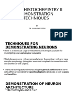 Neurohistochemistry Ii