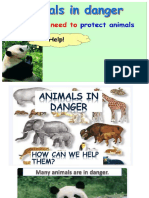 Animals in Danger