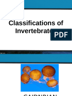 WK5 Invertebrates