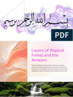 Layers of Tropical Forest and The Amazon