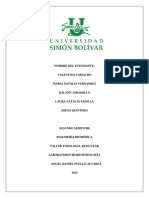 Taller - Fisiologia - Articular 1