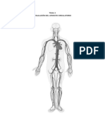 Tema 2 - Regulación Del Aparato Circulatorio