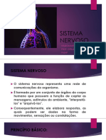 Aula 1 Neuroanatomia - Embriologia - Divisão Anatomica e Funcional