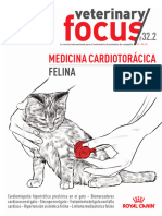 Focus 322 Medicina Cardiotorcica Felina