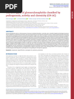 5 Tipos de Glomerulonefritis 2024