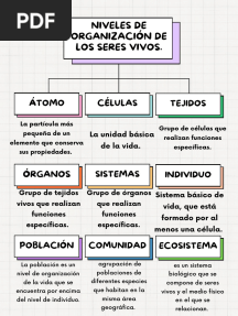 Nivel de Organización de Los Seres Vivos (Mapa Conceptual)