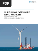 IRENA Nurturing Offshore Wind 2018 Summary