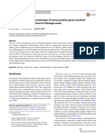 Identification and Characterization of Some Putative Genes Involved in Arabinoxylan Biosynthesis in Plantago Ovata