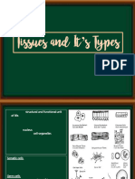 Tissues and Its Types