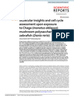 Molecular Insights and Cell Cycle Assessment Upon Exposure To Chaga Mushroom Polysaccharides In)