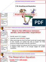 Aerobic and Anaerobic Respiration