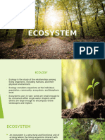 Ecosystem Final