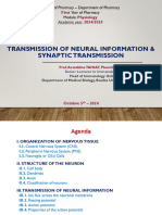 PR Tahiat - Transmission of Neural Information & Synaptic Transmission (2024 - 2025)