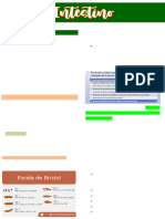 Intestino - Resumo