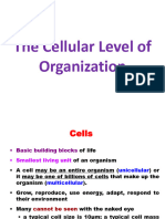 Cell and Organelles, Water and Buffers