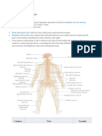 Neurological Exam