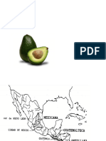 Cultivo de Aguacate 2024 A