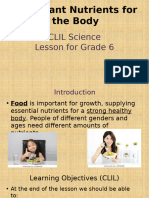 CLIL Science Lesson Nutrients Activities