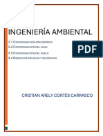 Ingeniería Ambiental