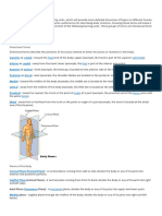 Anatomical Terminology