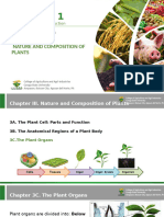 Crop Sci 1 Notes PPT 2