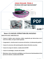 TEMA 4 BCMedicinaNucleo