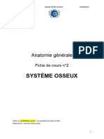 FC 2 - Système Osseux Actualisée (Partie 1)