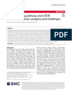 mTOR Signaling Pathway and mTOR Inhibitors in Cancer: Progress and Challenges