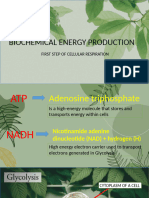 Cellular Respiration 2