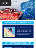 Manejo Clinico Del Dengue y Sus Complicaciones Final