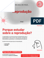 Reprodução - Power Point