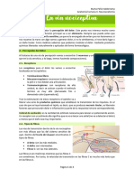 Tema 22 La Vía Nociceptiva