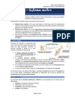 Tema 30 - Sistema Motor