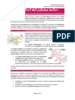 Tema 31 - Control Del Sistema Motor