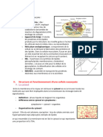 Introduction CELLULE EUCARYOTE