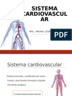 Aula 6 - Sistema Cardiovascular