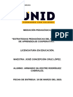 Mediación Pedagógica Proyecto Final 19 de Marzo