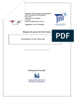 Rapport PFA