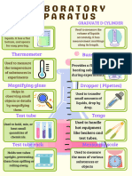 Green White Illustrative Biology Photosynthetic Organisms Poster - 20240914 - 131319 - 0000