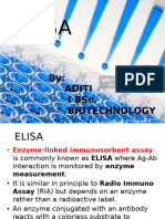 Elisa 170927065919