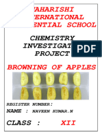 Bucket Chemistry Project